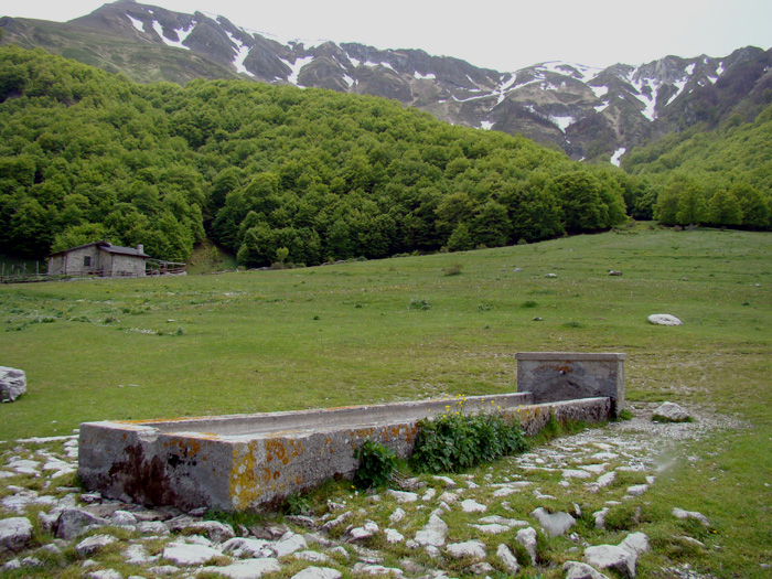 Fontanili dell''Abruzzo